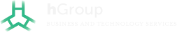 hGroup LLC Logo