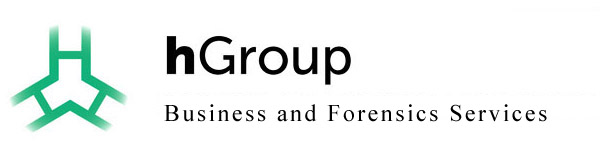 hGroup, LLC - Accounting, Finance & Business Consulting in Dallas, TX